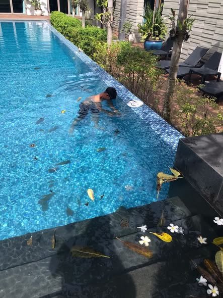 Preventative pool maintenance Phuket